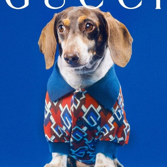 sale GUCCI Gucci geometric G dog polo clothing size XXS - Picture 1 of 5